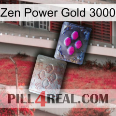 Zen Power Gold 3000 38